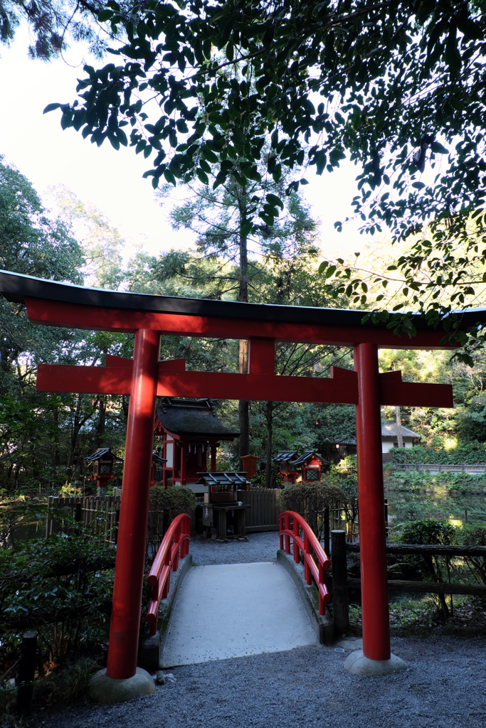 44、晩秋の三輪明神　大神神社