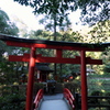 44、晩秋の三輪明神　大神神社