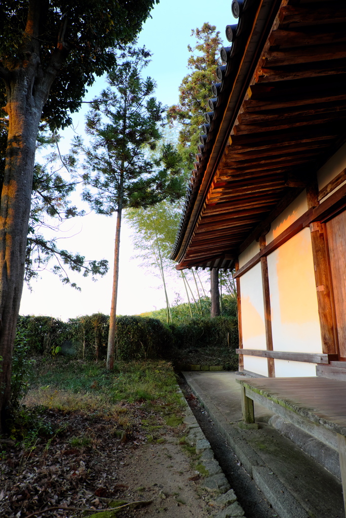 65、晩秋の三輪明神　大神神社