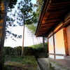 65、晩秋の三輪明神　大神神社