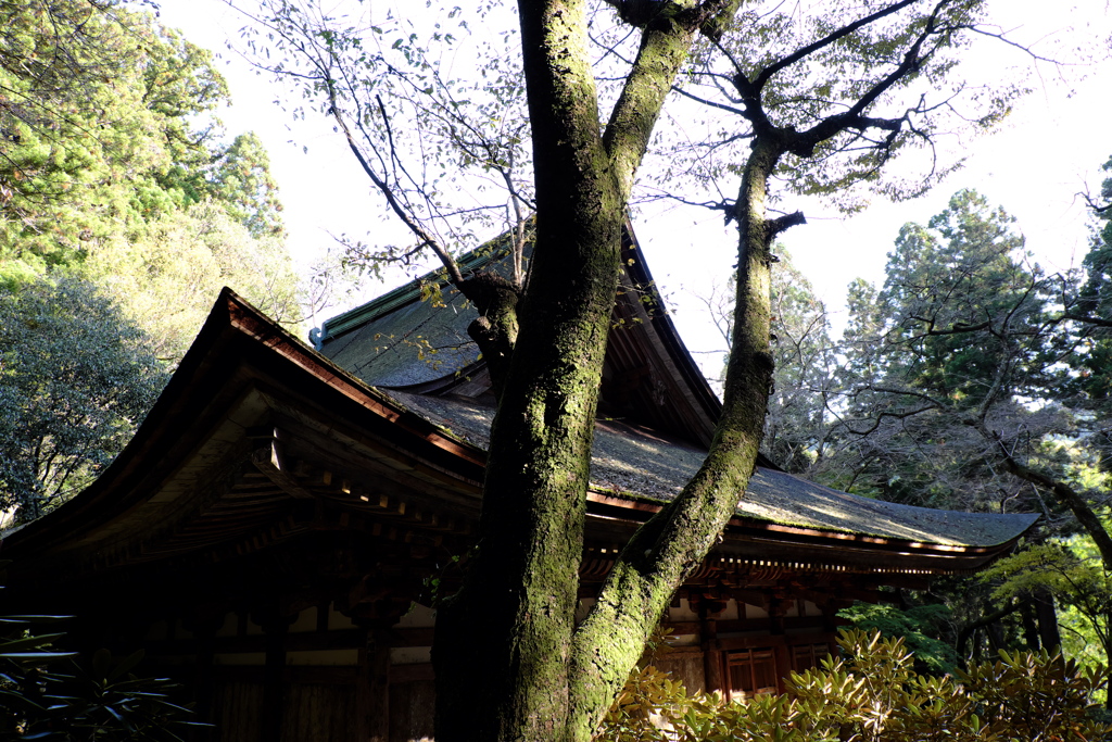 25、女人高野　晩秋の室生寺