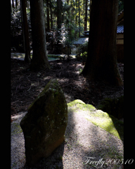 15、初秋の室生龍穴神社