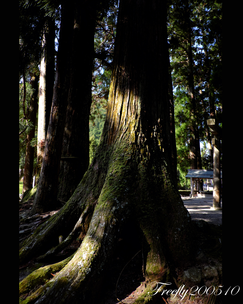 5、初秋の室生龍穴神社