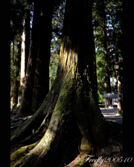 5、初秋の室生龍穴神社