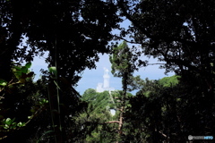 佐田岬　垣間見