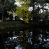 69、晩秋の三輪明神　大神神社