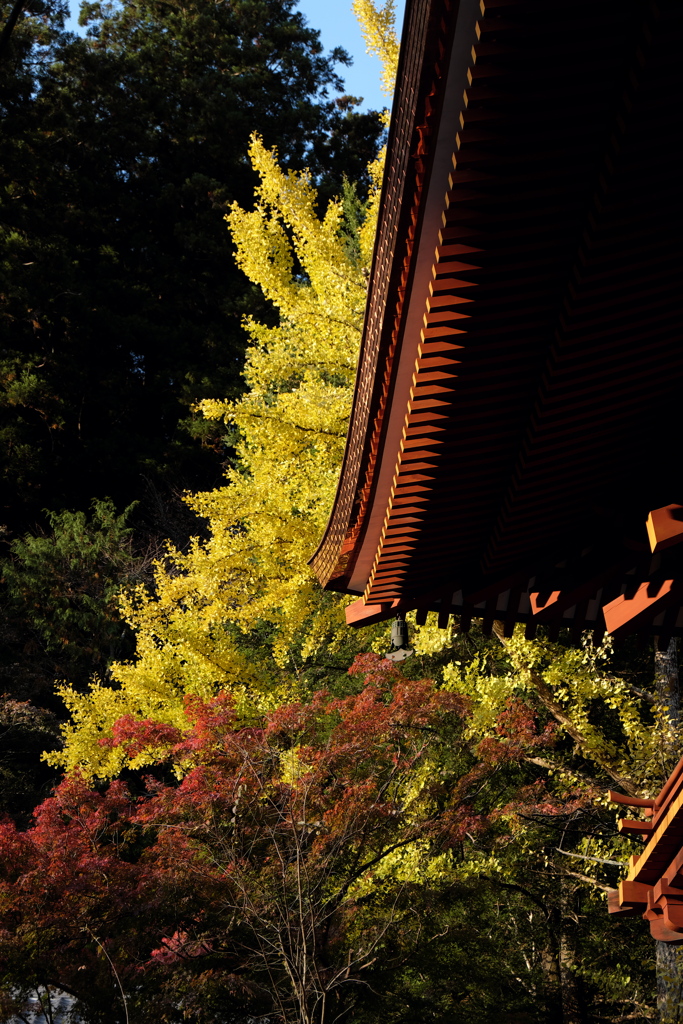 60、女人高野　晩秋の室生寺