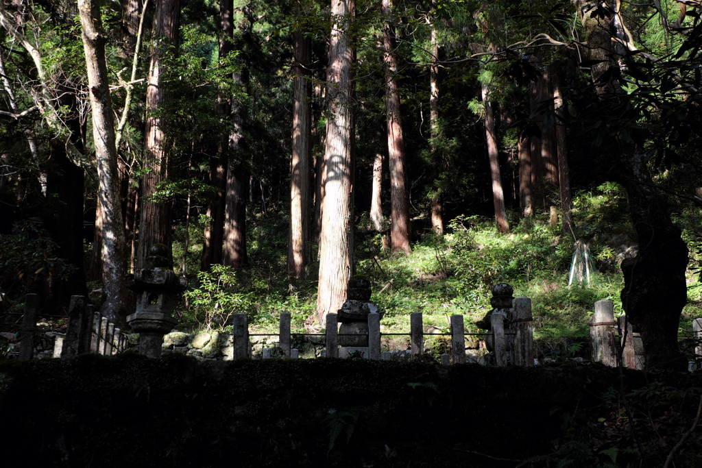 23、女人高野　晩秋の室生寺