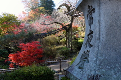 1、晩秋の真言宗豊山派総本山 長谷寺