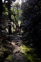 55、女人高野　晩秋の室生寺