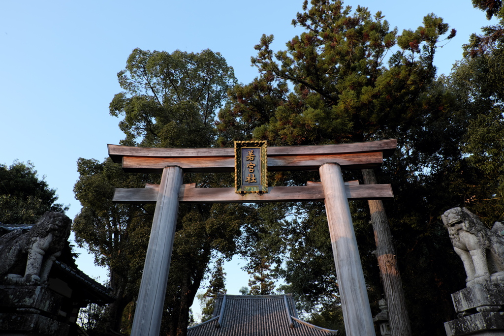 64、晩秋の三輪明神　大神神社