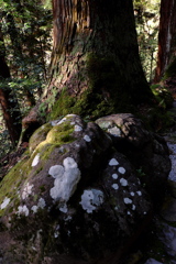 34、女人高野　晩秋の室生寺