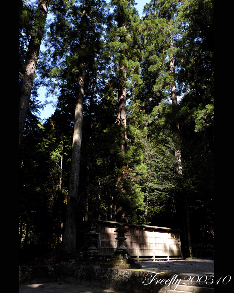 2、初秋の室生龍穴神社