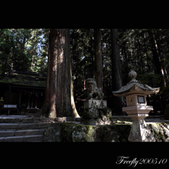 12、初秋の室生龍穴神社