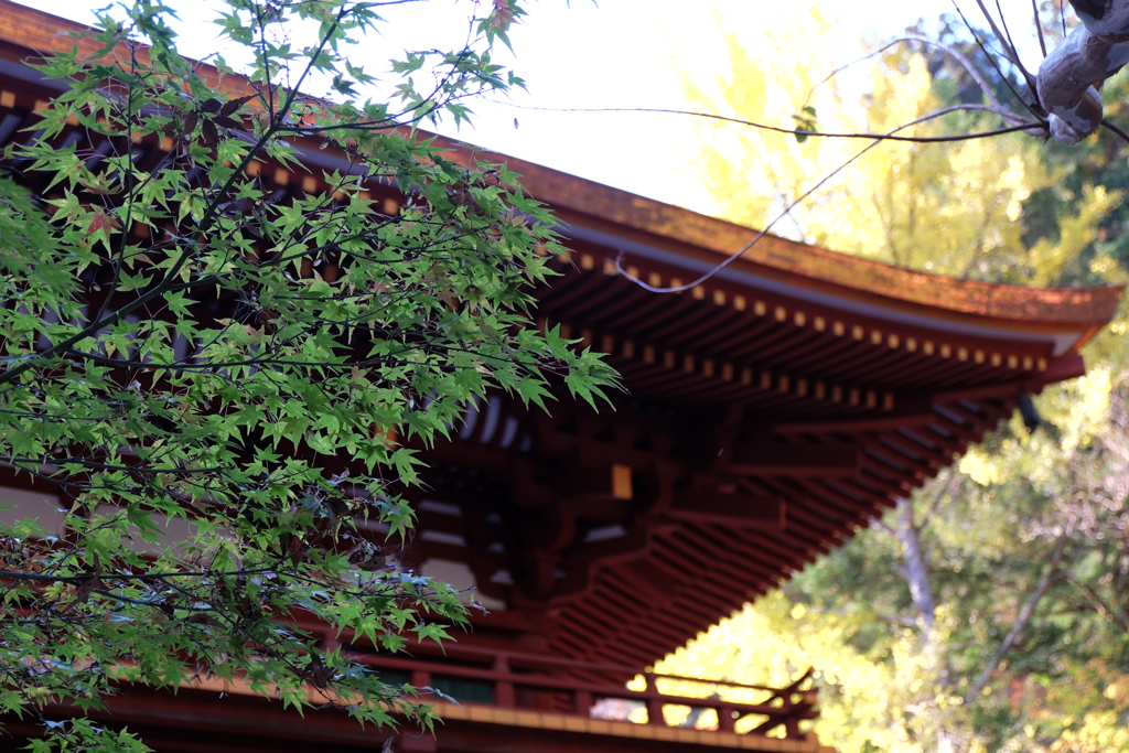 59、女人高野　晩秋の室生寺