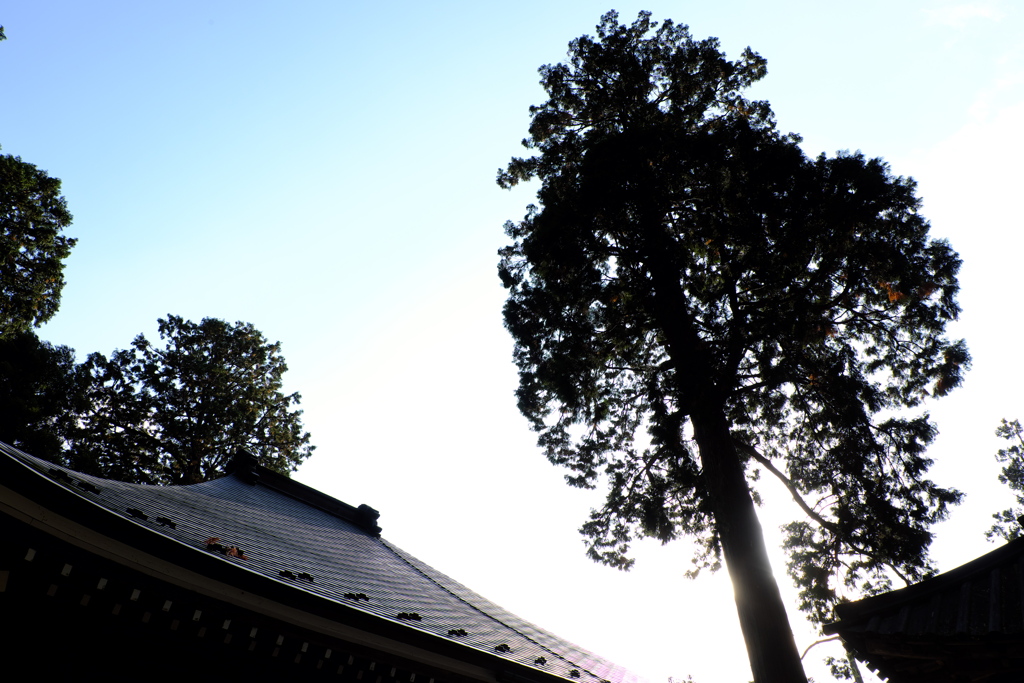 46、女人高野　晩秋の室生寺
