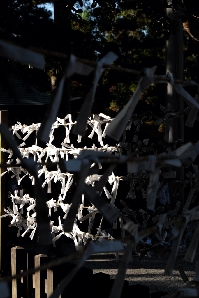 24、晩秋の三輪明神　大神神社