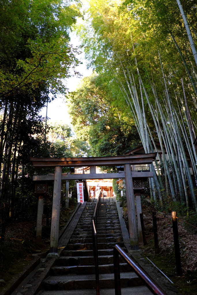 54、晩秋の三輪明神　大神神社