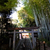 54、晩秋の三輪明神　大神神社