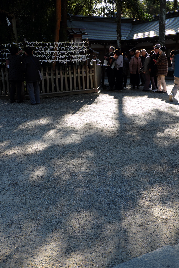 20、晩秋の三輪明神　大神神社