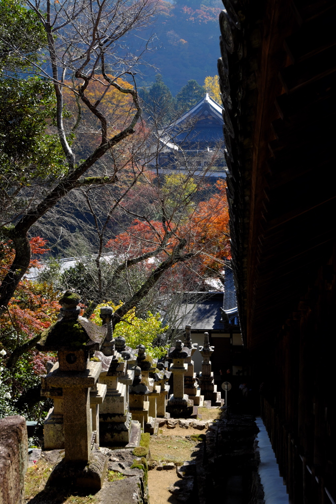 60、晩秋の真言宗豊山派総本山 長谷寺