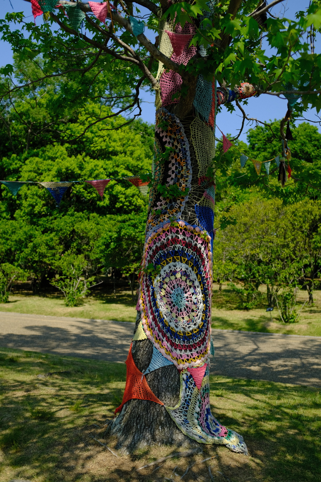 長居植物園 花 24