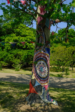 長居植物園 花 24