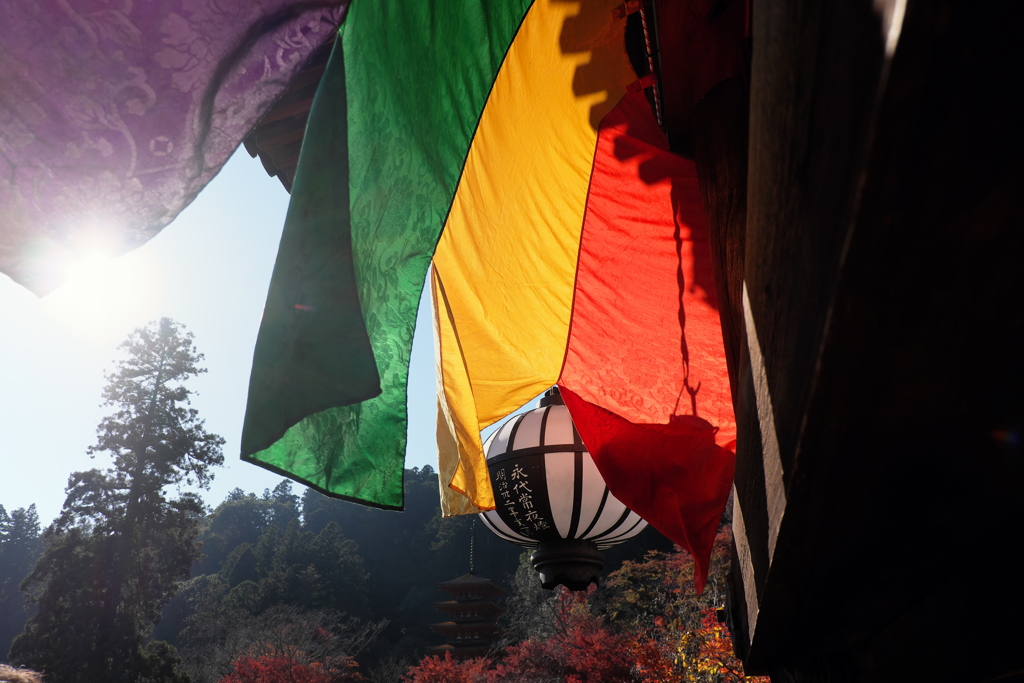 103、晩秋の真言宗豊山派総本山 長谷寺