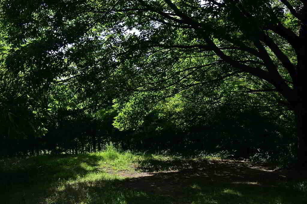 馬見丘陵公園にて