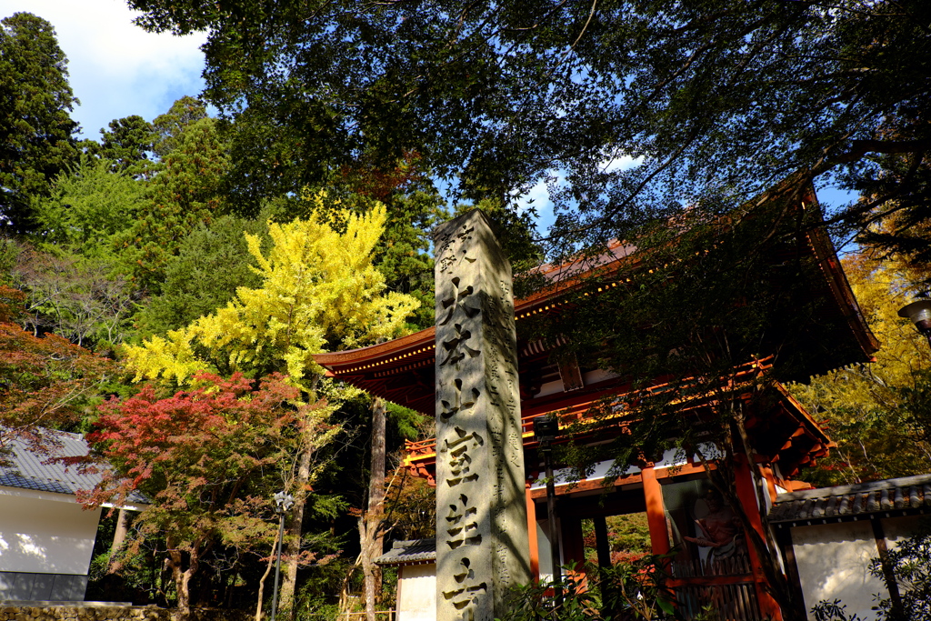 8、女人高野　晩秋の室生寺