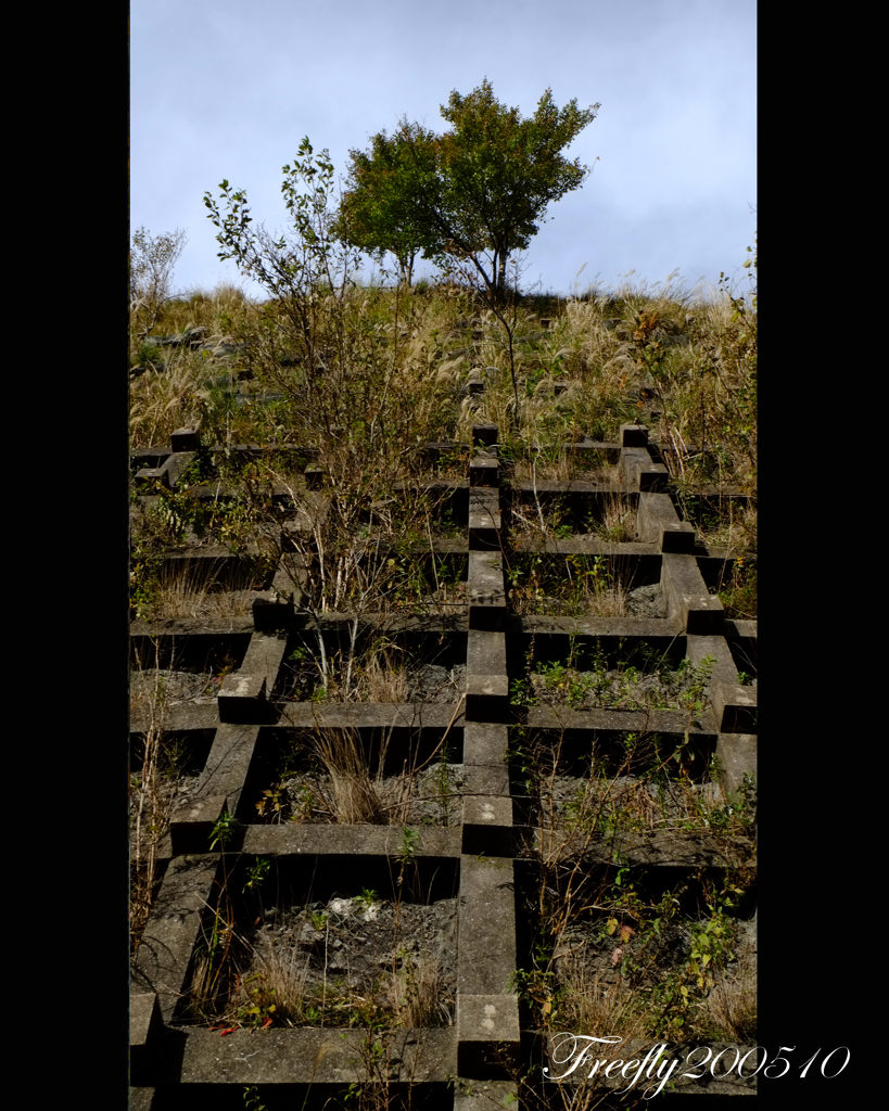 19、初秋の奈良県川上村 大滝ダム