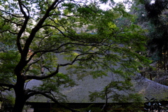 29、女人高野　晩秋の室生寺