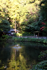 42、晩秋の三輪明神　大神神社