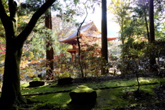 17、女人高野　晩秋の室生寺