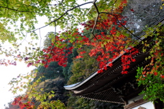 62、女人高野　晩秋の室生寺