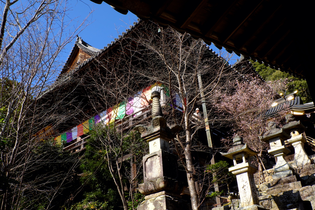 51、晩秋の真言宗豊山派総本山 長谷寺