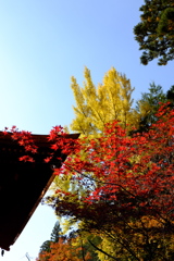 12、女人高野　晩秋の室生寺