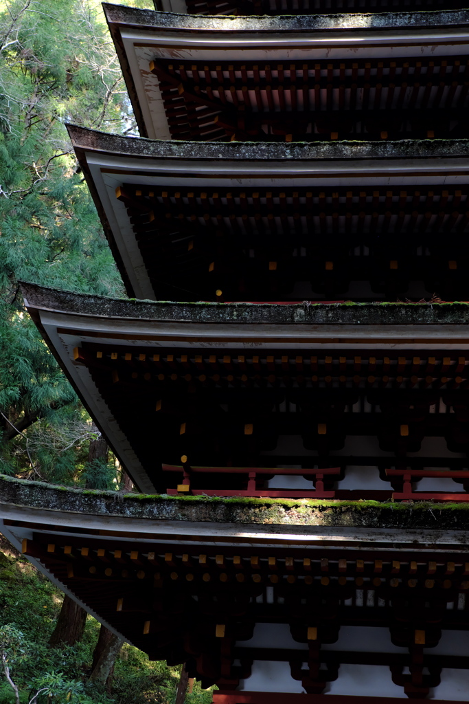 30、女人高野　晩秋の室生寺