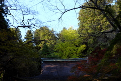 53、女人高野　晩秋の室生寺