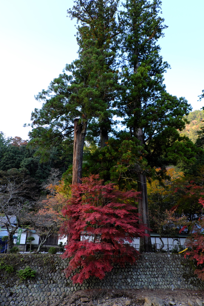 63、女人高野　晩秋の室生寺