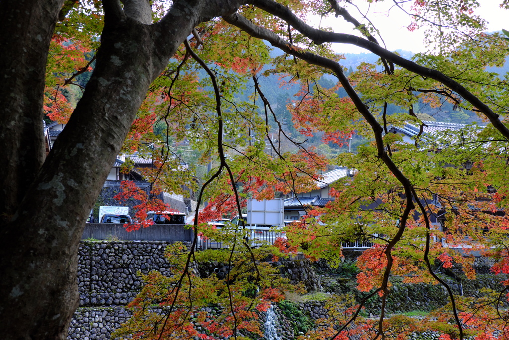 5、女人高野　晩秋の室生寺