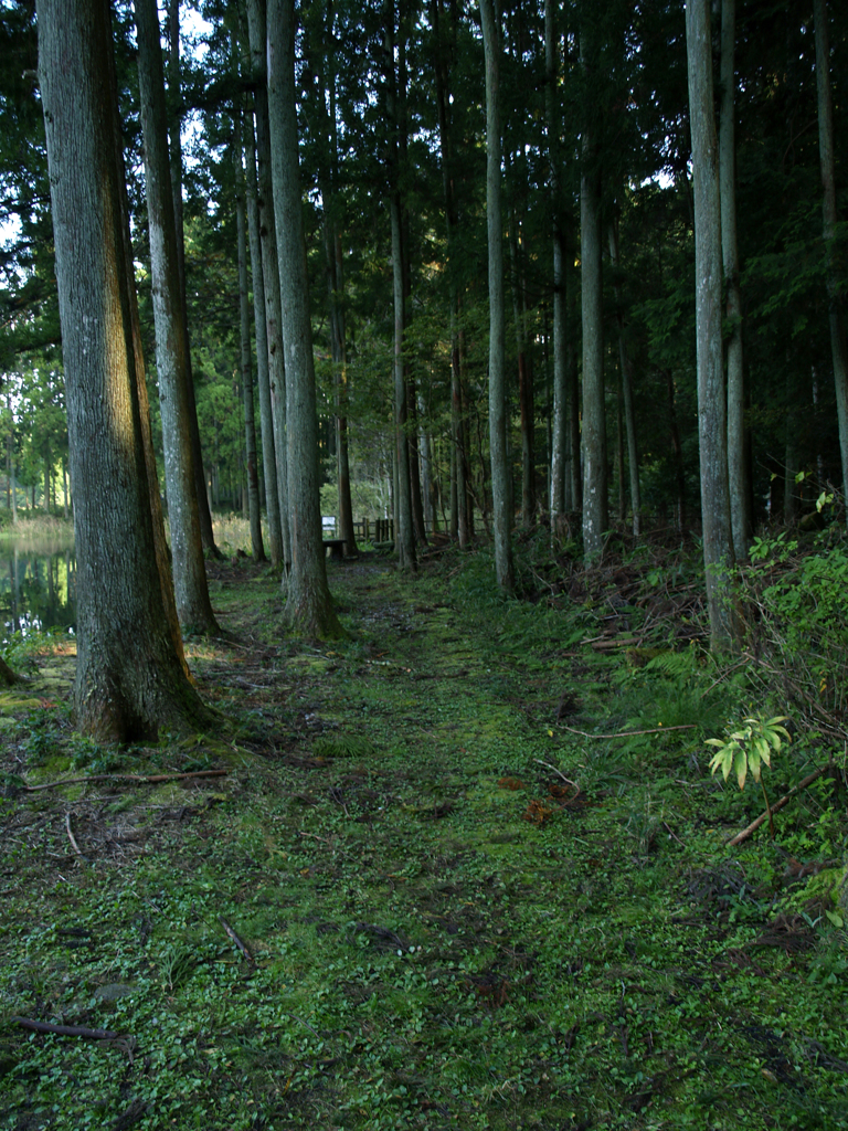 20、山々に囲まれた幻想的な鏡面池 龍王ヶ淵