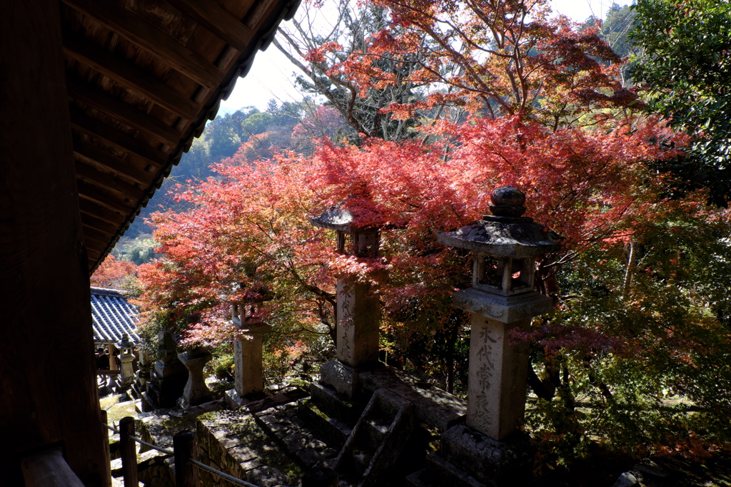 52、晩秋の真言宗豊山派総本山 長谷寺