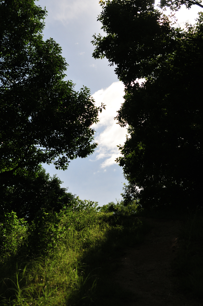 馬見丘陵公園にて