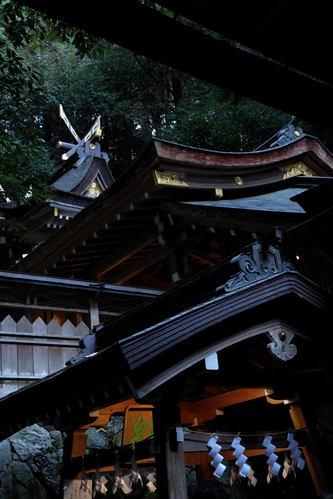 31、晩秋の三輪明神　大神神社