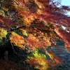 46、晩秋の三輪明神　大神神社