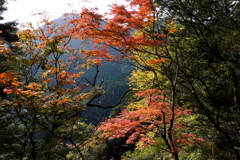 43、女人高野　晩秋の室生寺