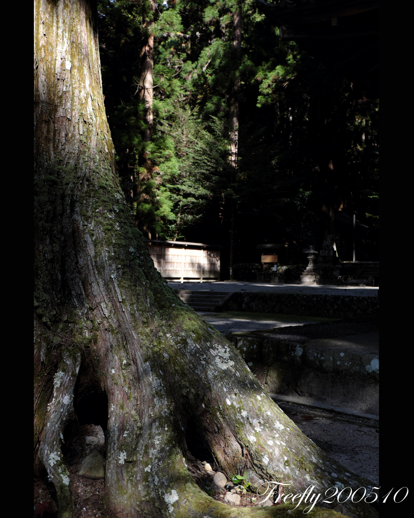 3、初秋の室生龍穴神社