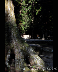 3、初秋の室生龍穴神社