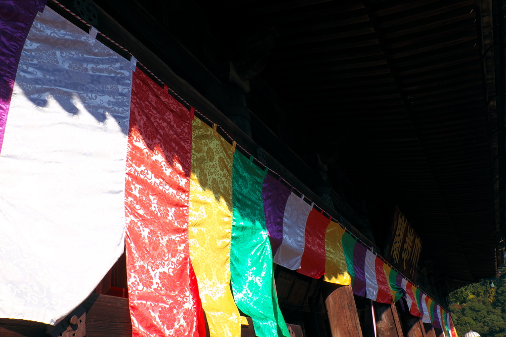 104、晩秋の真言宗豊山派総本山 長谷寺